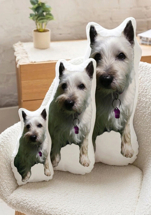 The Armful